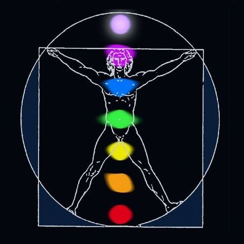 Illustration Pflanzenblüten für Meditation und Yoga 